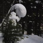 Natural Snow Sculptures
 / Снежные скульптуры
